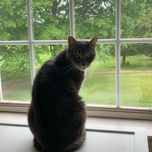 Meet your Posher, Eva